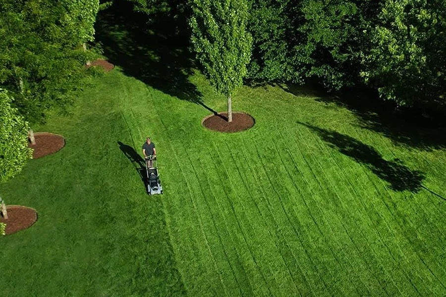 best electric self propelled mower