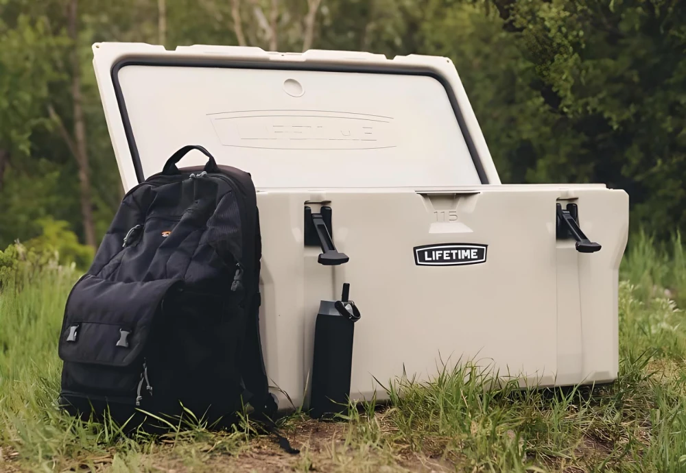 ice cooler box for car